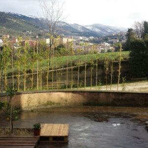 CASALE PISTILLI – FOTO 2 CASALE PISTILLI – FOTO 2